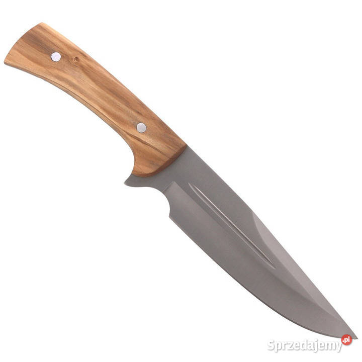 Nóż Muela Full Tang Olive Wood Satin X50CrMoV15