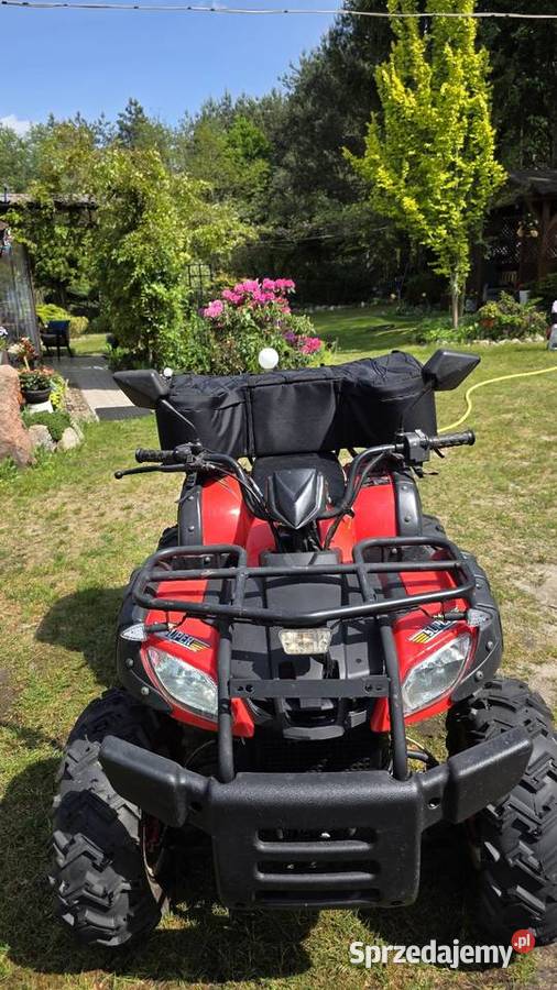 Quad Bashan BS200AU11B Bashan mazowieckie Garwolin