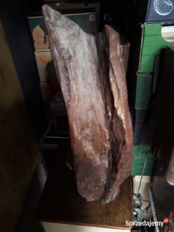 Duża rzeźba drewniana Warszawa