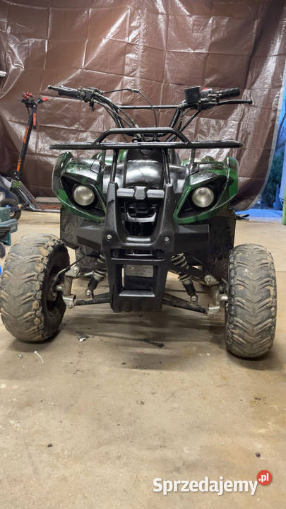 Quad hammer 11 2015r Bashan