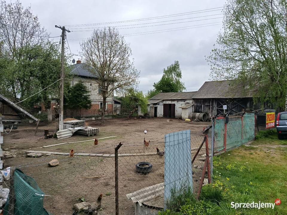 Siedlisko dom drewniany obora stodoła lubelskie Niedziałowice Pierwsze