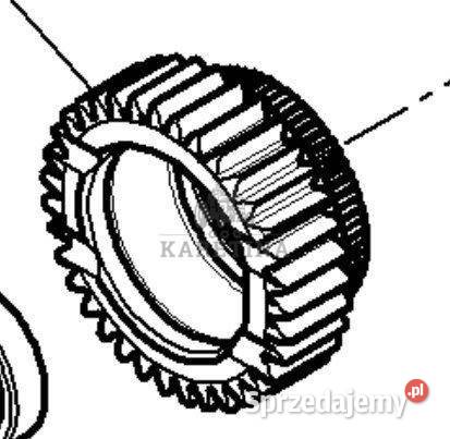 Massey Ferguson 5430 Koło Zębate Wału Jastrzębniki