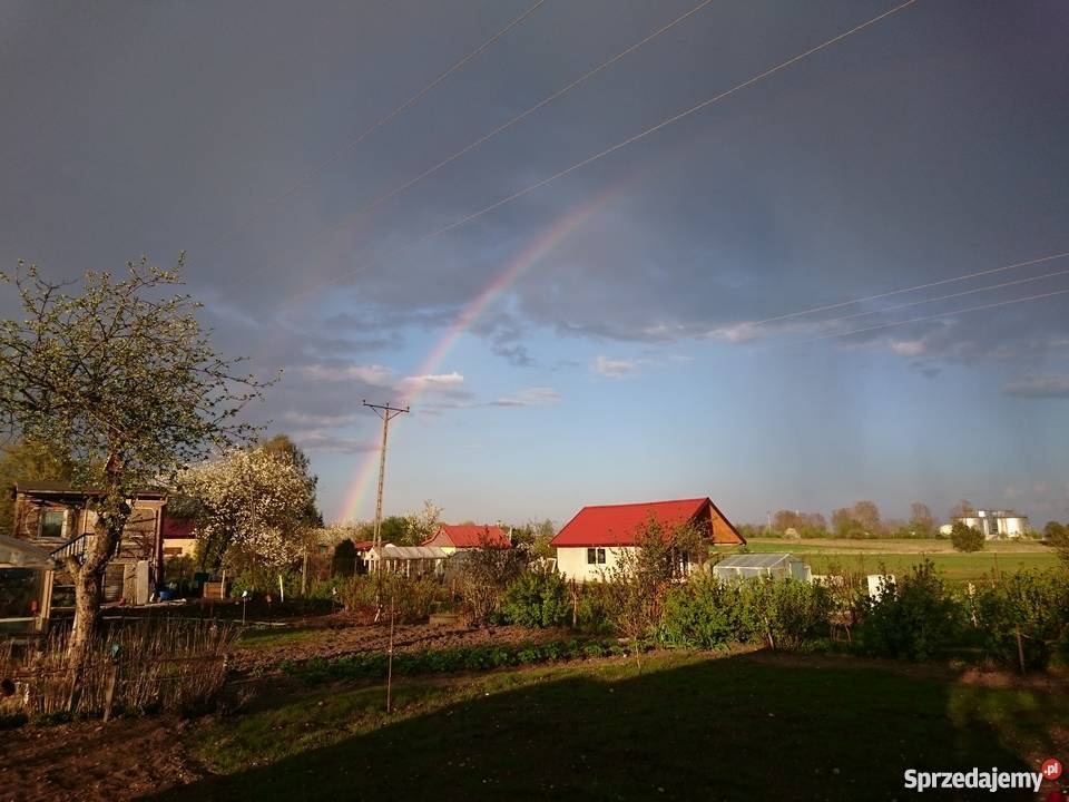 rod malwa 303m2 Grunty i działki Suwałki sprzedam