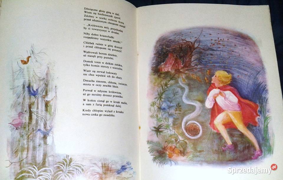 Baśń o czarnym chlebie Konstancja Rostworowska Chełm