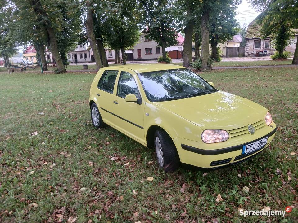 Golf Ośno Lubuskie