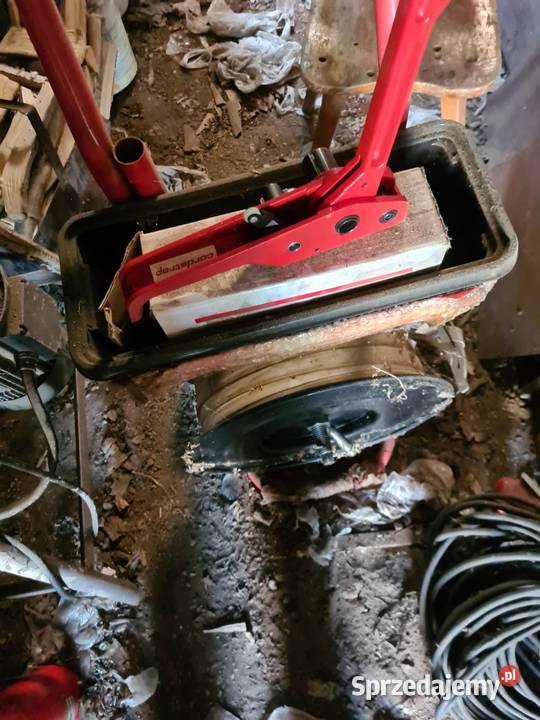 Bandownica Kurozwęki