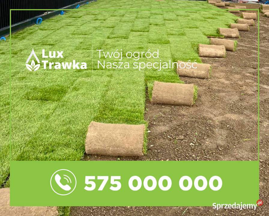 Trawa w rolce Trawa z rolki Przygotuj się do sprzedam