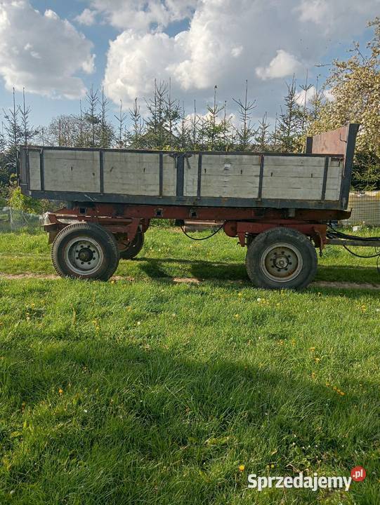 Przyczepa wywrotka d 50 Radomsko