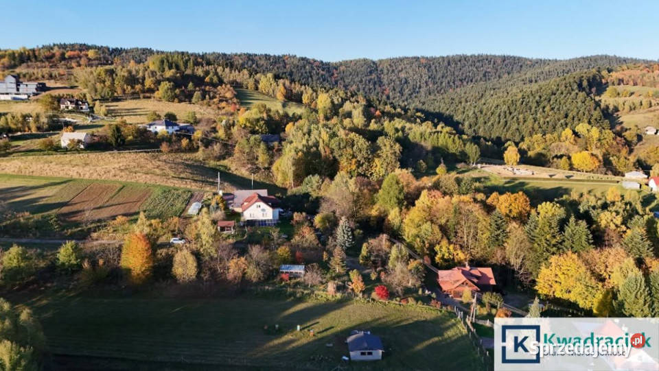 Ogłoszenie działka 1200m2 Korczyna Sprzedaż
