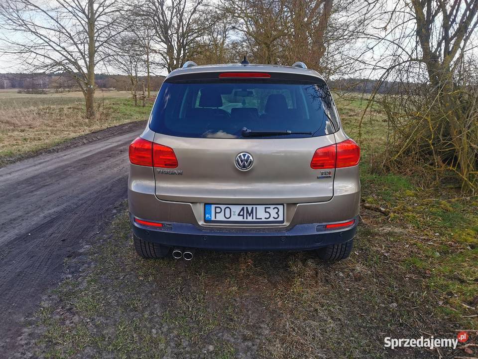 Vw Tiguan Poznań