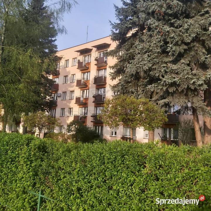 Wynajmę mieszkanie Jasło