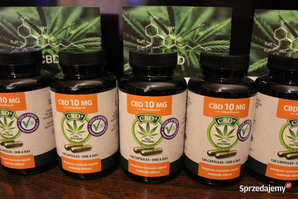 Jacob Hooy CBD 10mg 120 Kapsułek Pozostałe Łódź