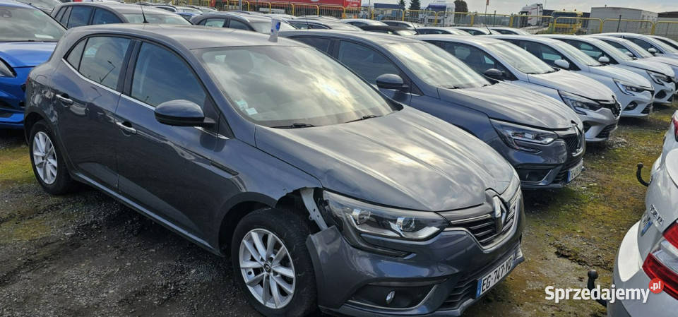 Renault Megane Megane IV 2016 Pleszew