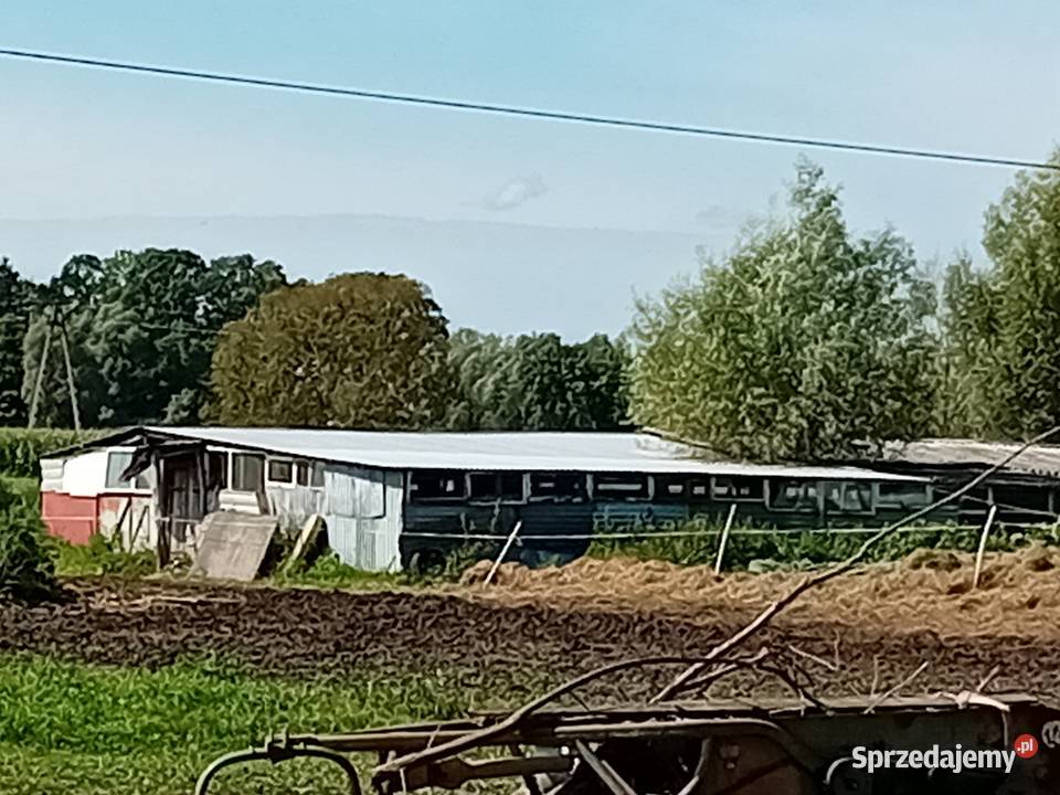 Syndyk sprzeda udziały w grunatach Żurawiec Sprzedaż Jurandowo