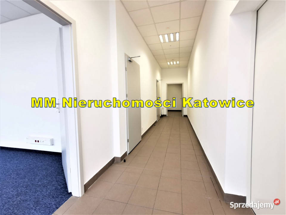 Magazyny do wynajęcia Katowice A4 biura socjal