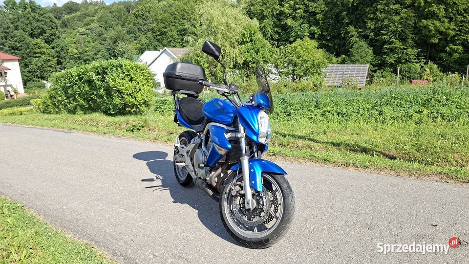 Kawasaki ER6N Niedźwiada