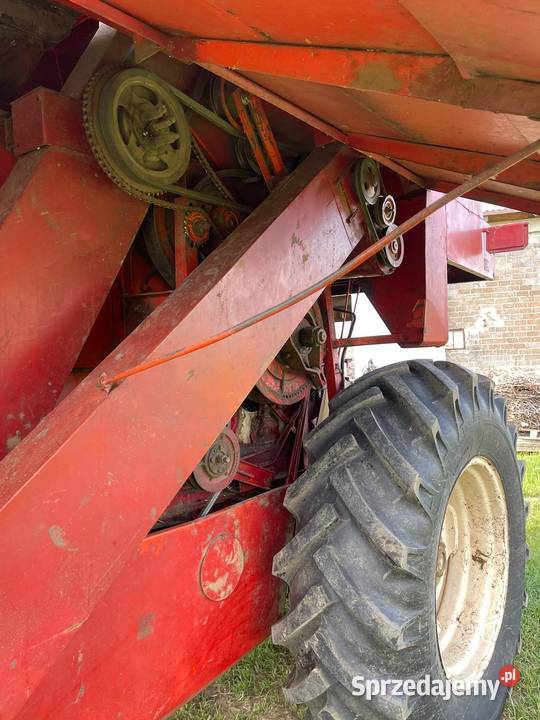 Sprzedam Bizon ZO50 nieuszkodzony Zbożowe Kotulin