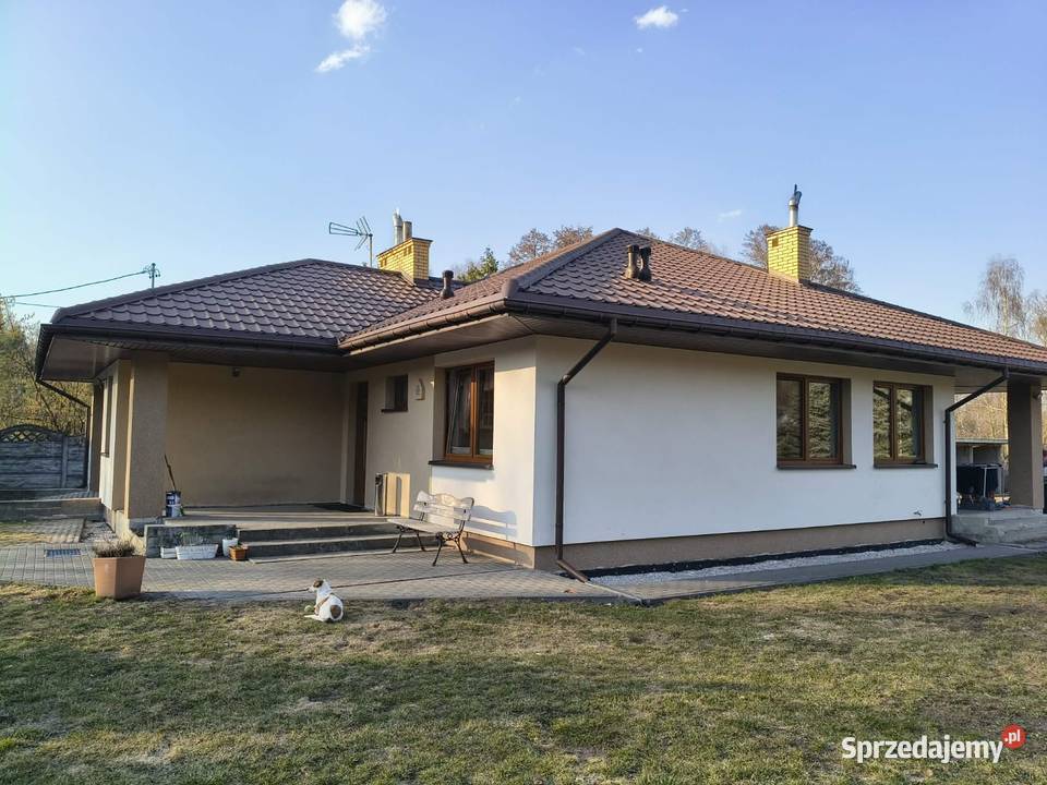 Dom parterowy Duża działka Warszawy Mińska parterowy Sprzedaż Domy sprzedam