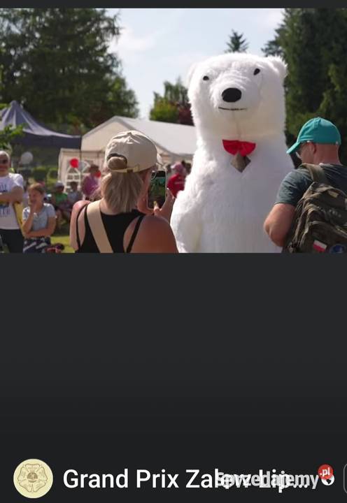 Imprezowy miś królik i panda Pozostałe usługi wielkopolskie Września