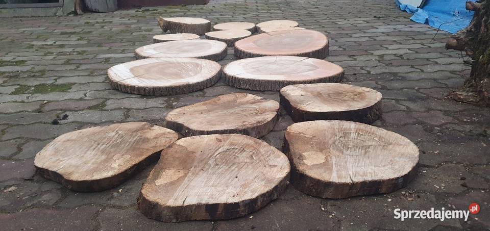 Plastry drewna Pakość sprzedam