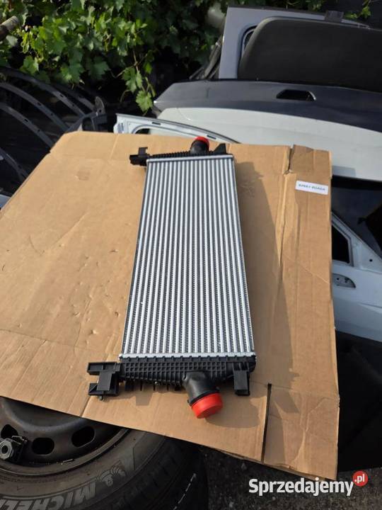 Intercooler Buick Verano 13311080 Intercooler dolnośląskie