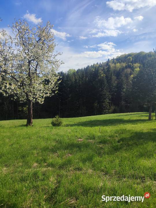 Sprzedam gospodarstwo z domem siedliskowa Siary