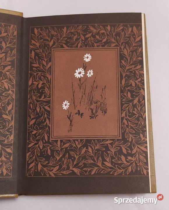 LIRIKA Nikołaj Rylenkov podlaskie Hajnówka sprzedam