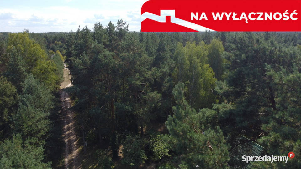 Działka letniskowa 800 m2 w Woli Chodkowskiej mazowieckie Wola Chodkowska