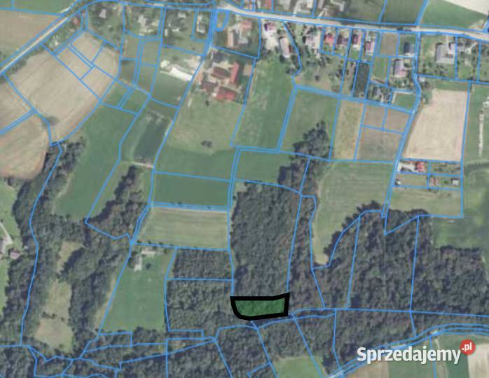 Las strumieniu Brzezowa 5zł/m2 Sprzedaż Brzesko