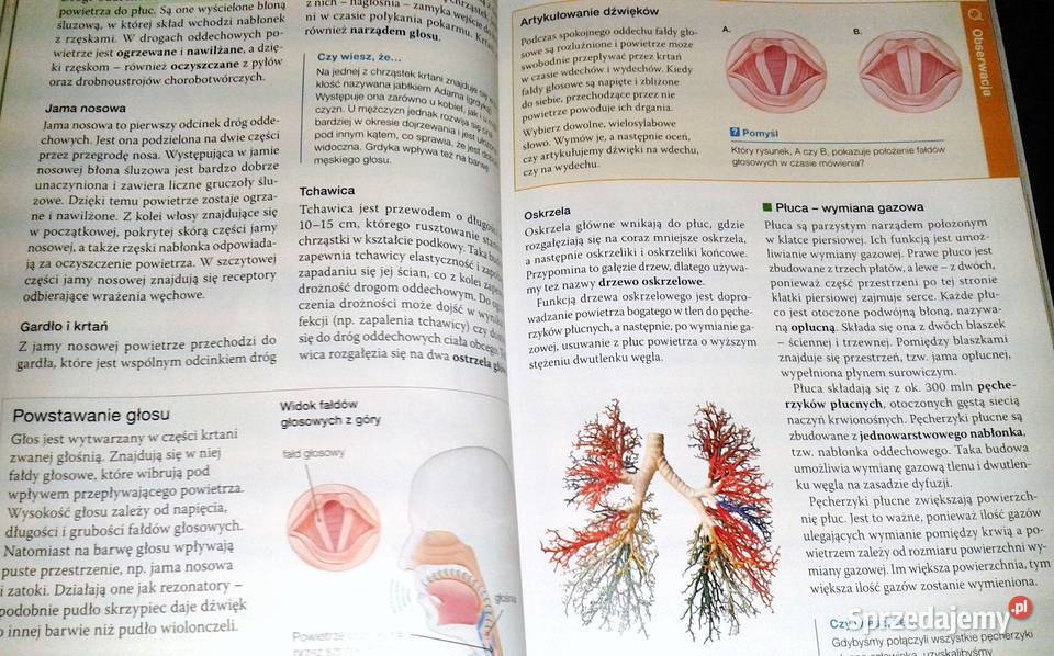 Biologia na czasie 1 Podręcznik LO i tech Anna lubelskie Chełm sprzedam