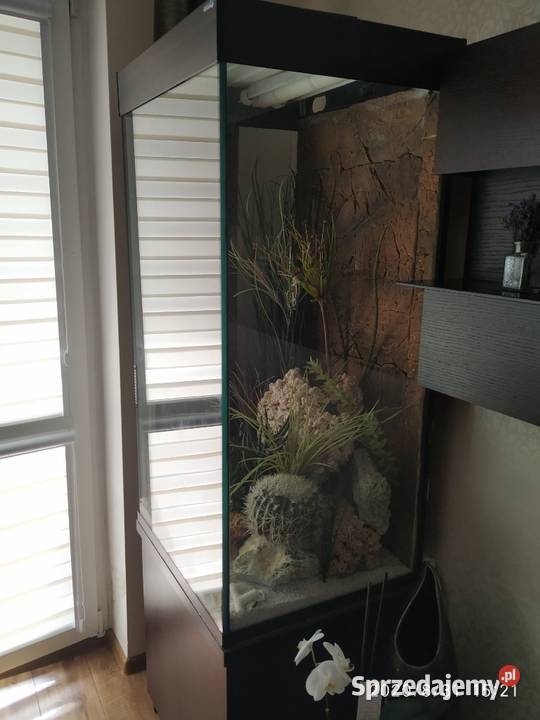 Akwarium AquaSzut 450l z szafką Tczew