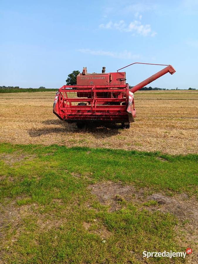 Massey ferguson87 wielkopolskie Marszałki