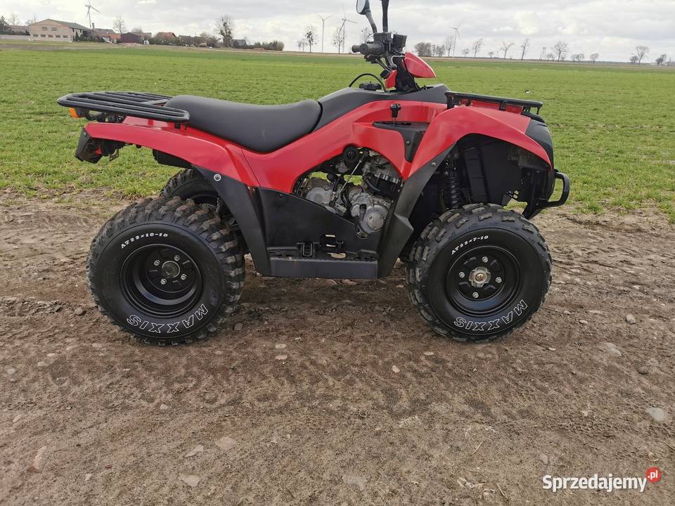 Quad Kymco Kawasaki bruteforce 300 kwity l7e hak Miejska Górka