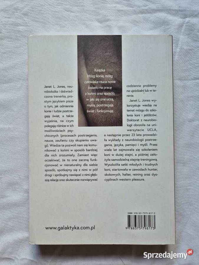 Mózg konia mózg człowieka małopolskie Brzesko