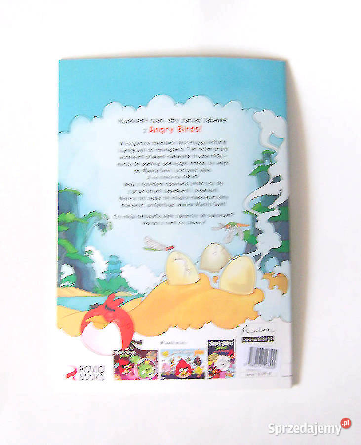 ćwiczę i piszę Angry Birds książka wielkie Kołobrzeg