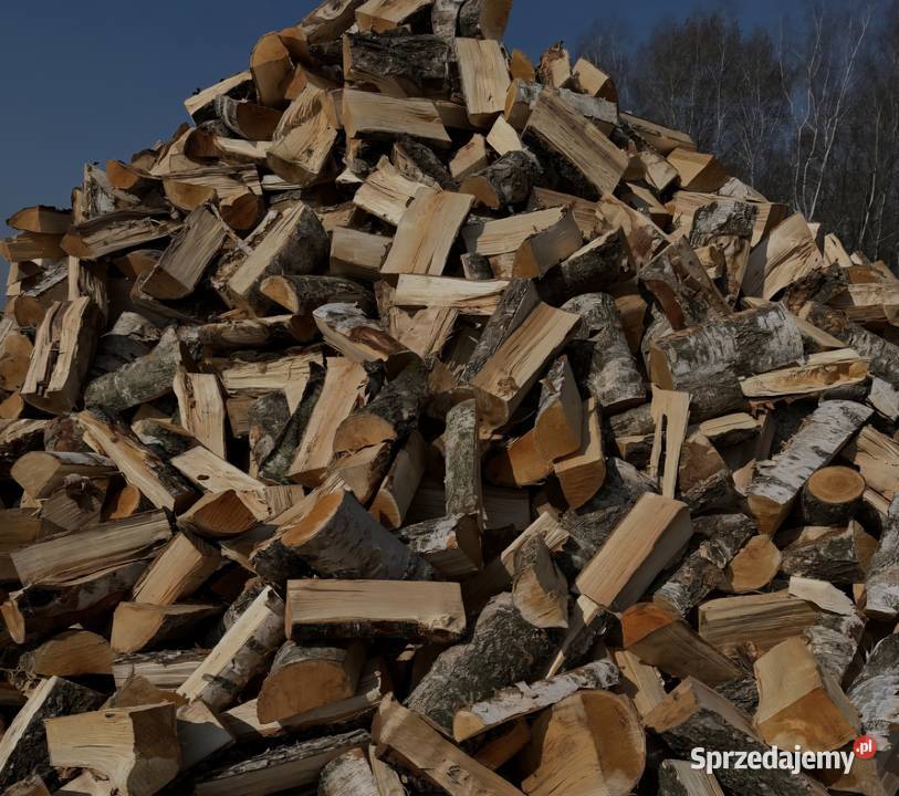 Drzewo brzoza dąb łupany podkarpackie Majdan Królewski sprzedam