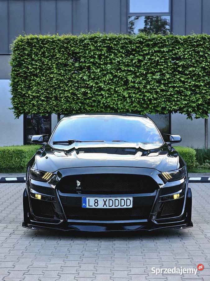 Ford Mustang VI 50 52l STROKER 560hp Zwoleń