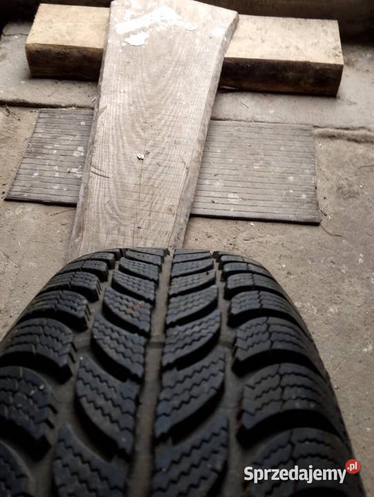 195 65 15 65 Nadrybie Ukazowe