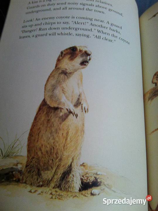 National Geographic Society mazowieckie Warszawa sprzedam