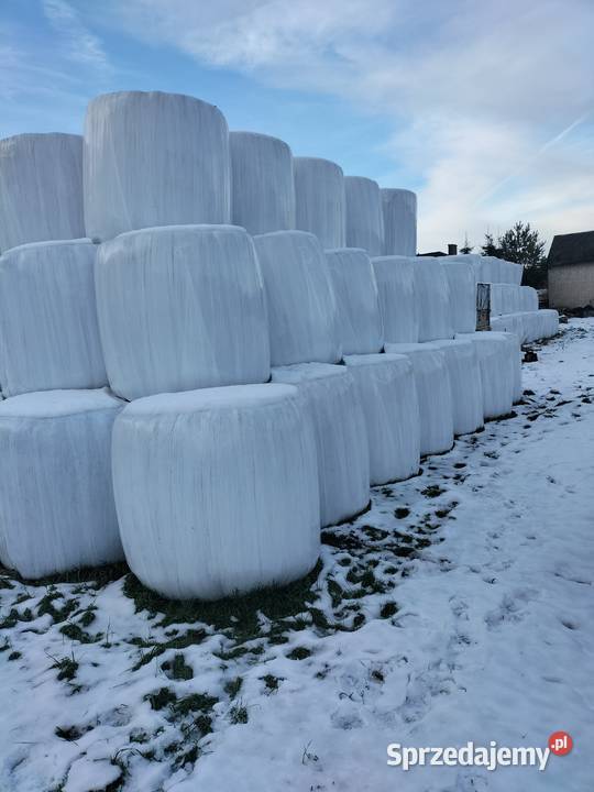 Sianokiszonka Możliwość transportu