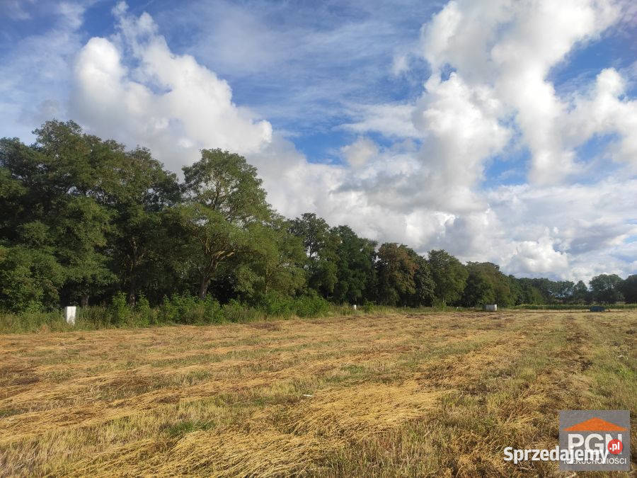 Sprzedam grunt Buniewice 1000m2 Sprzedaż