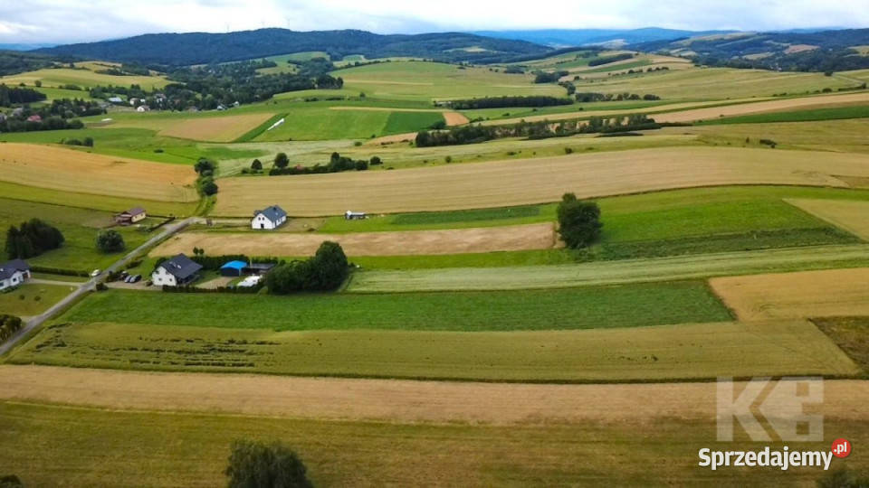 sprzedaży gruntu Jędruszkowce 5878m2