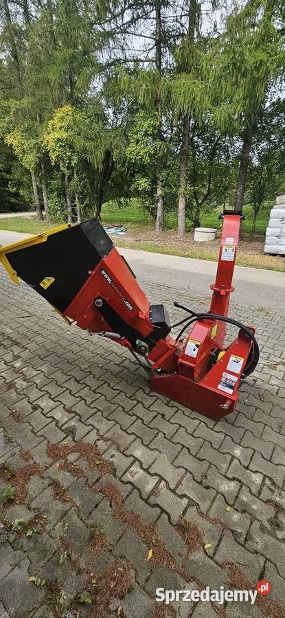Rębak Tarczowy śląskie Górki Wielkie