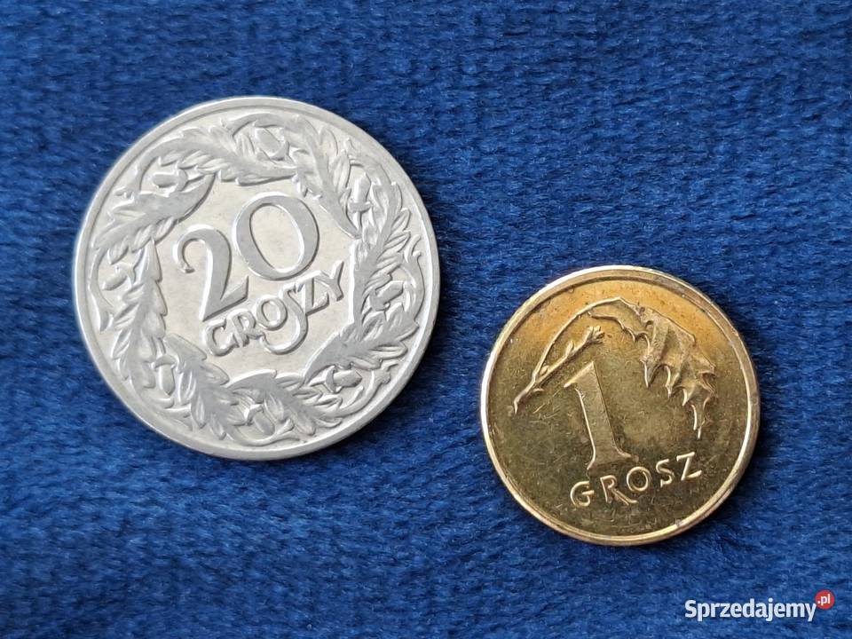 20 groszy 1923 II RP piękny stan pomorskie Wejherowo