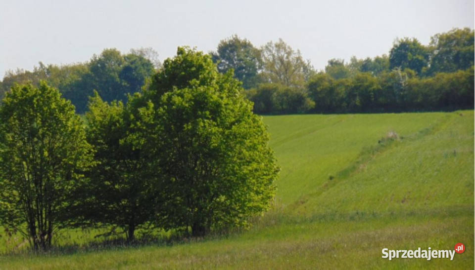 Syndyk Działka w miejscowości Ligota Woźnicka Woźniki sprzedam