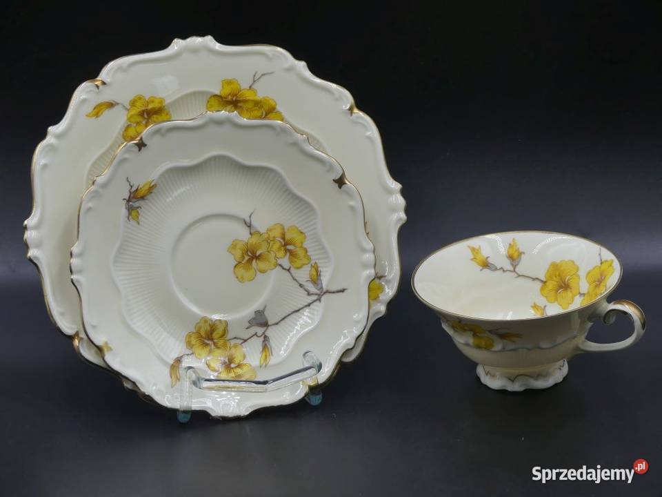 Komplet śniadaniowy Sorau Żary Forsycja stan Poznań