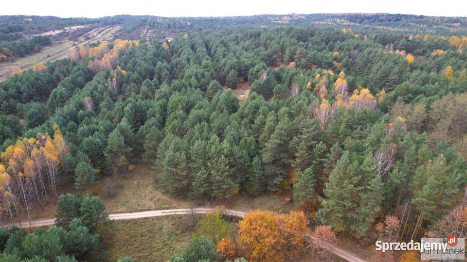 Działkę sprzedam 33800m Kajetanówka Sprzedaż