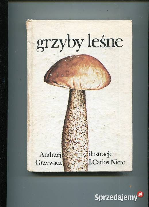 Grzyby leśne Andrzej Grzywacz Szczecin