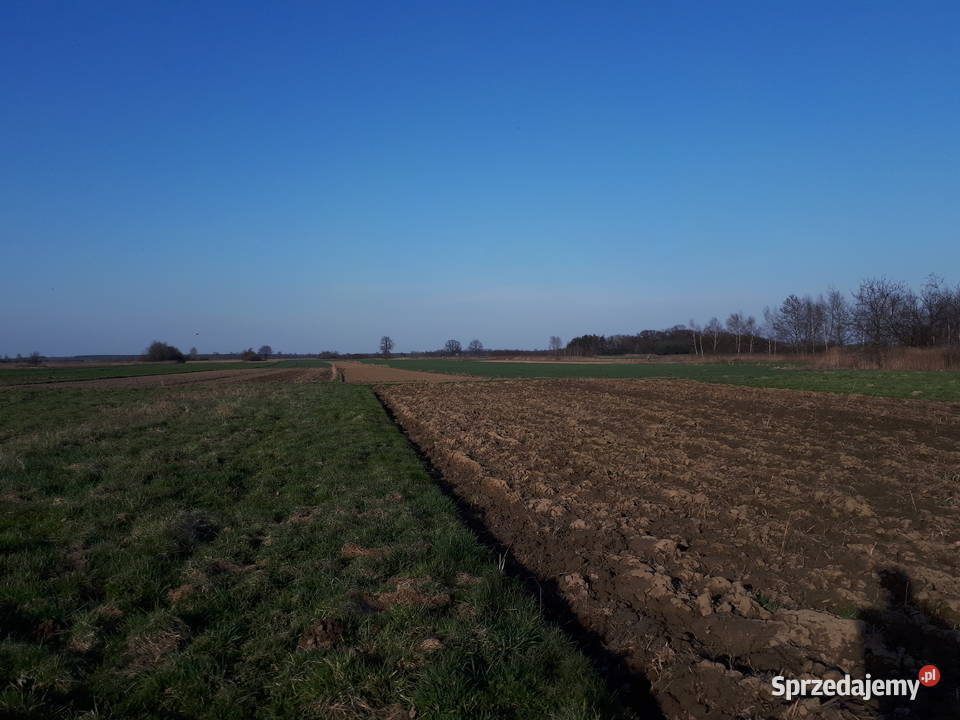 Drewniany dom z 1906 r na działce 31 arów Nieruchomości małopolskie