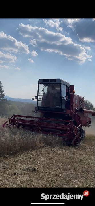 Bizon zo56 super kabina sieczkarnia nie rekord Zbożowe Wadowice